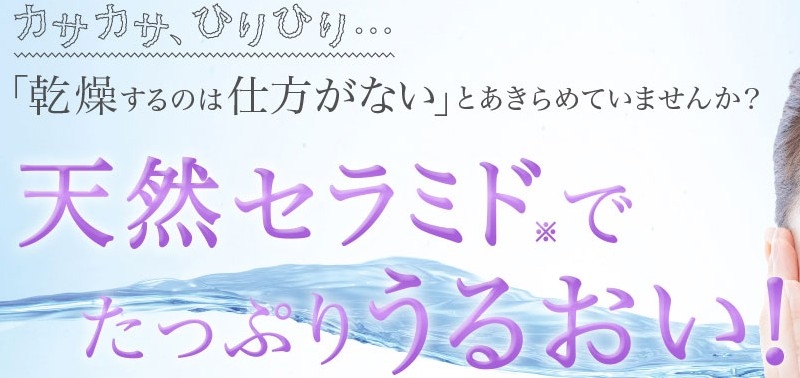 hoge1���T�C�g